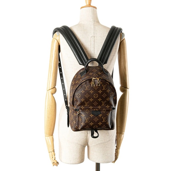 Louis Vuitton Palm spring Pm Brown Monogram Backpack! In amazing condition! main image 11